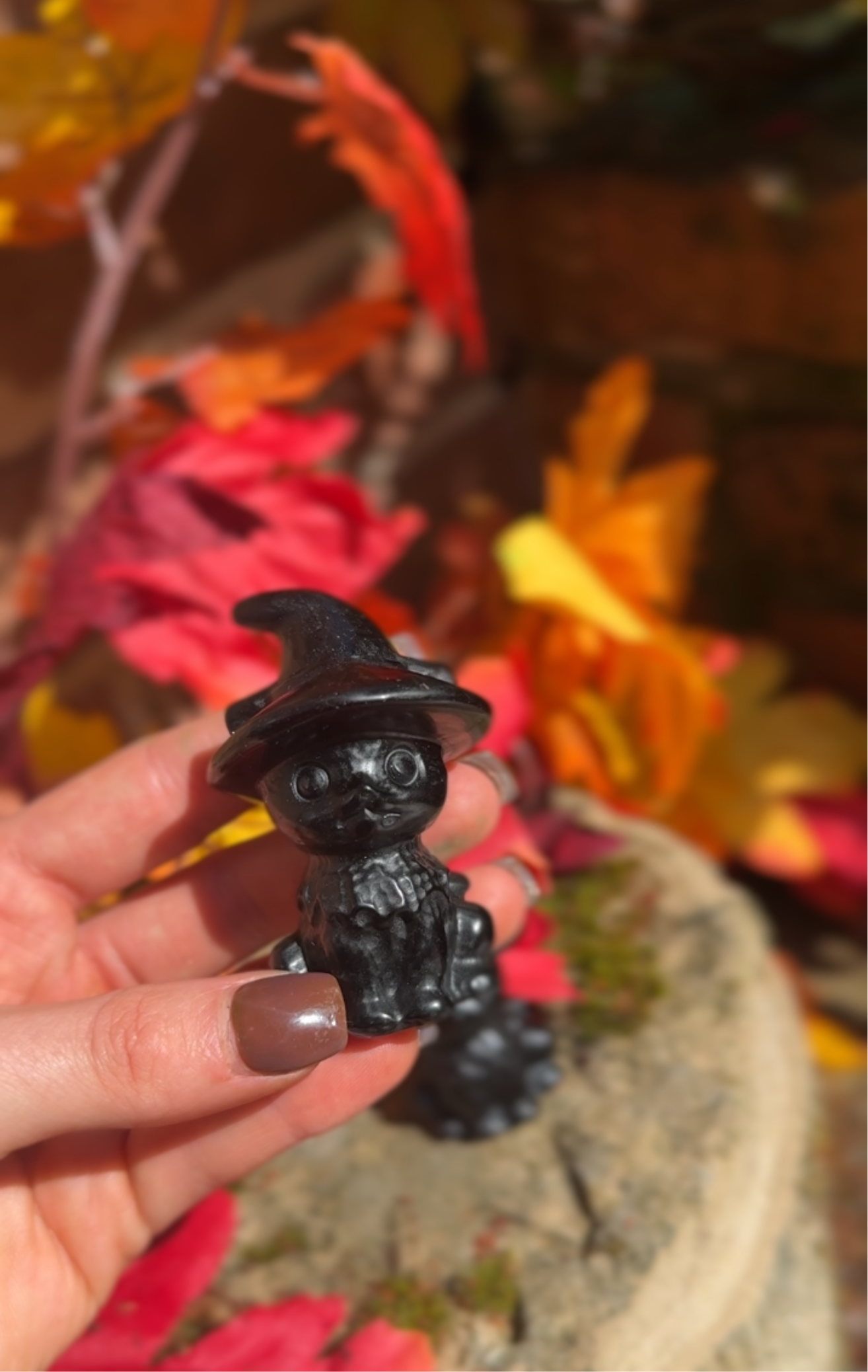 Obsidian witches cat