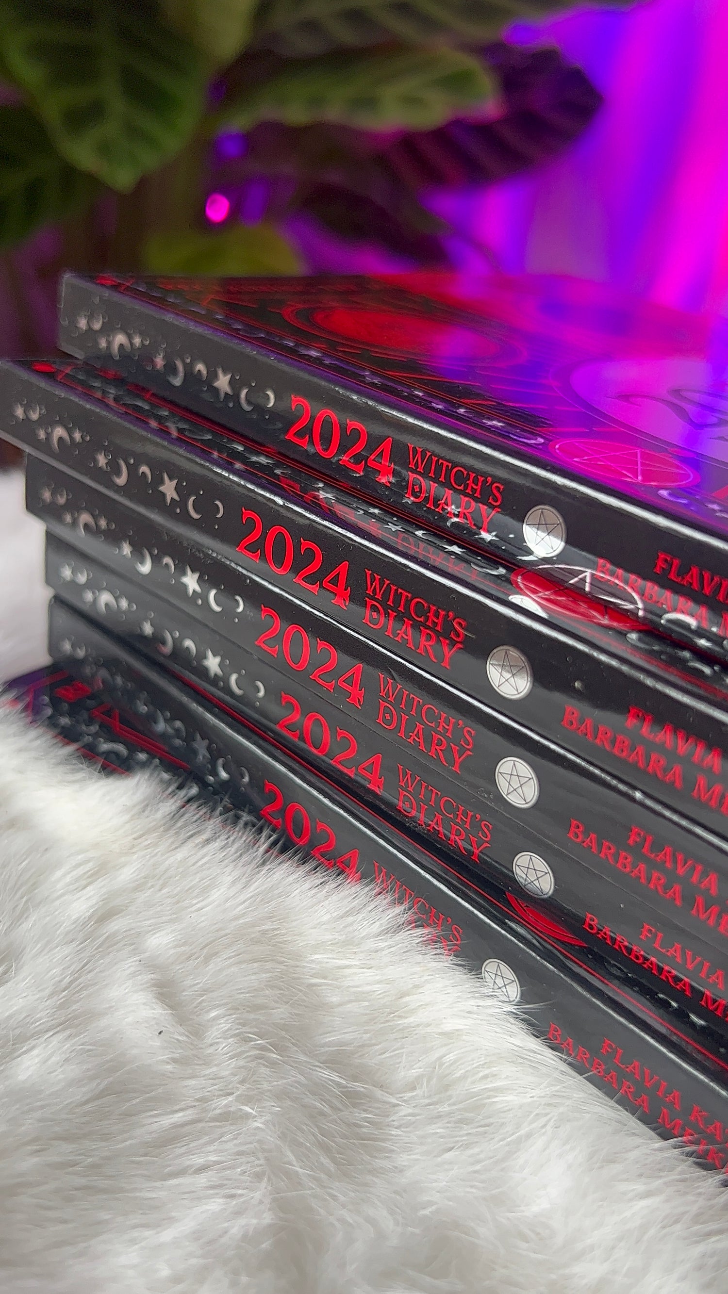 NEW IN