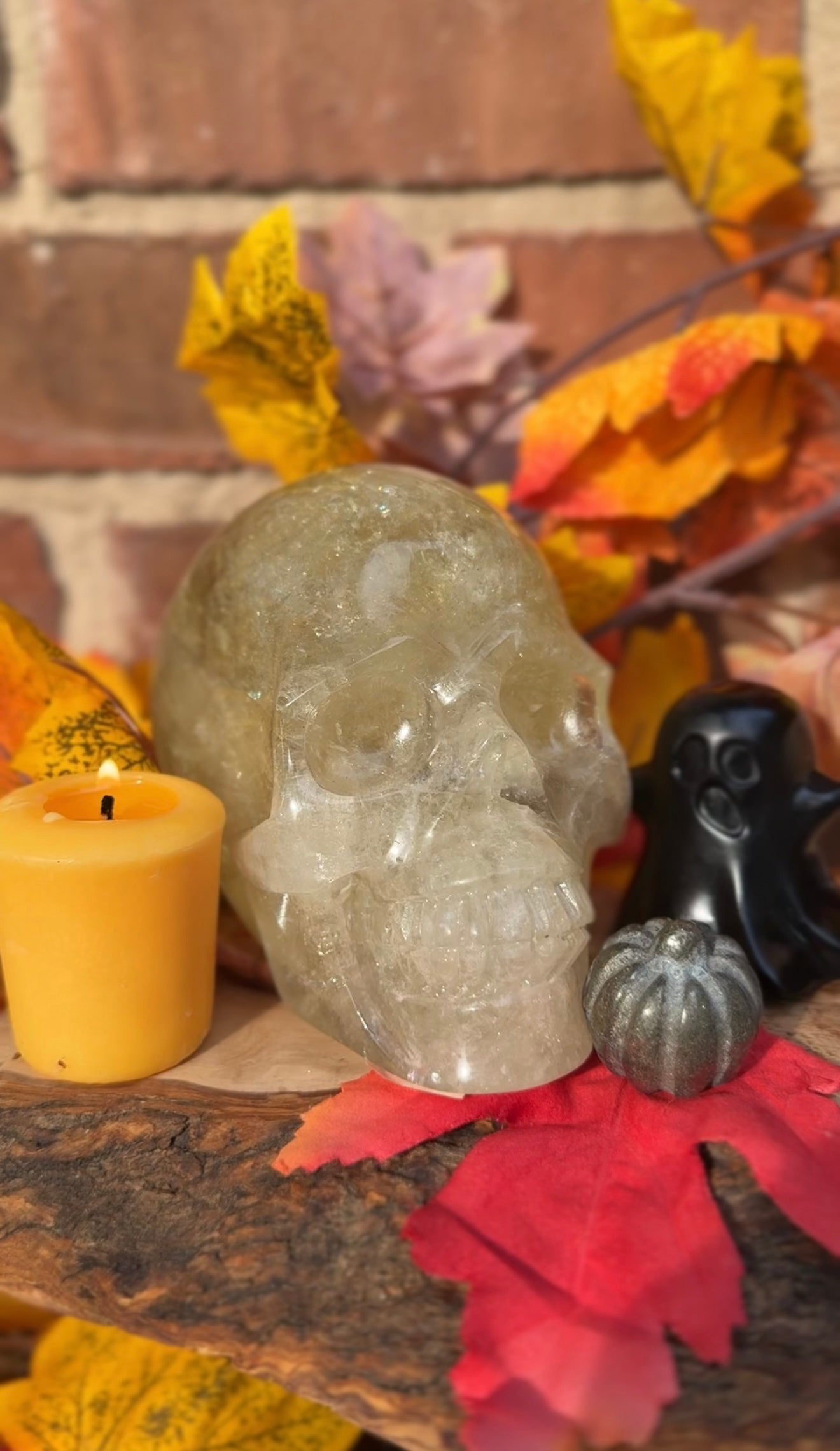 Natural Citrine Crystal Skull – 1.55kg Collector’s Piece