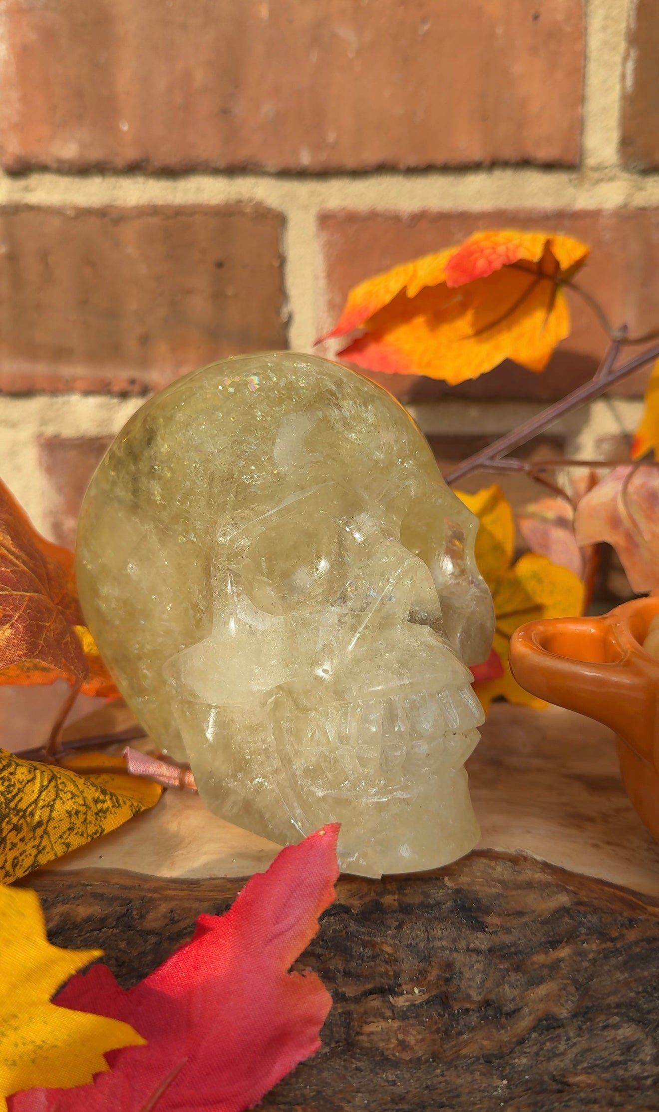 Natural Citrine Crystal Skull – 1.55kg Collector’s Piece