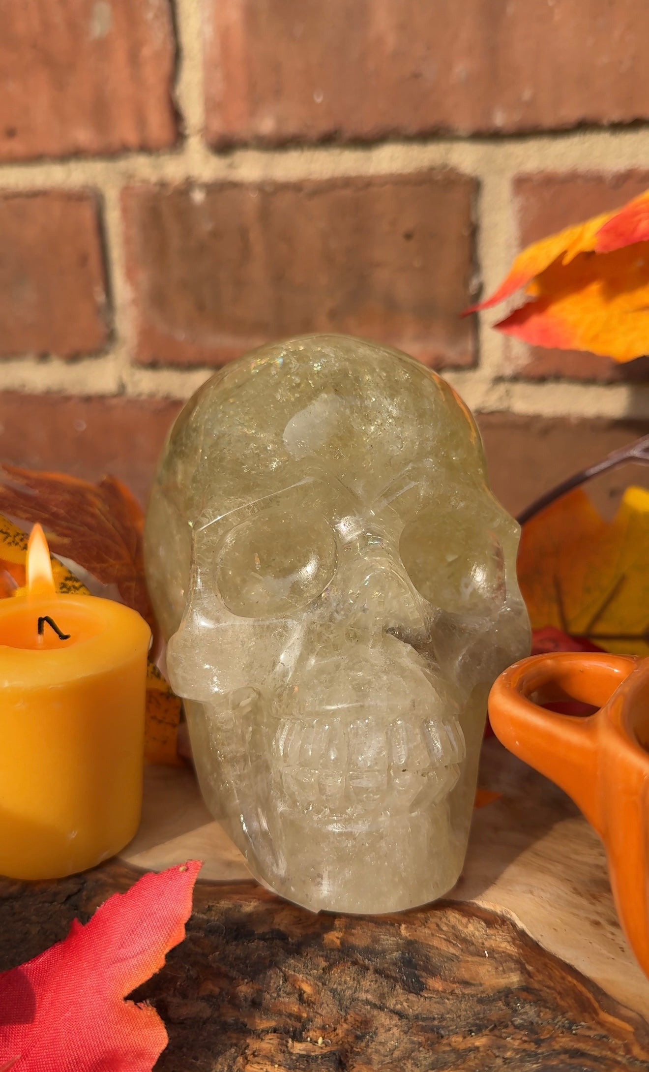 Natural Citrine Crystal Skull – 1.55kg Collector’s Piece