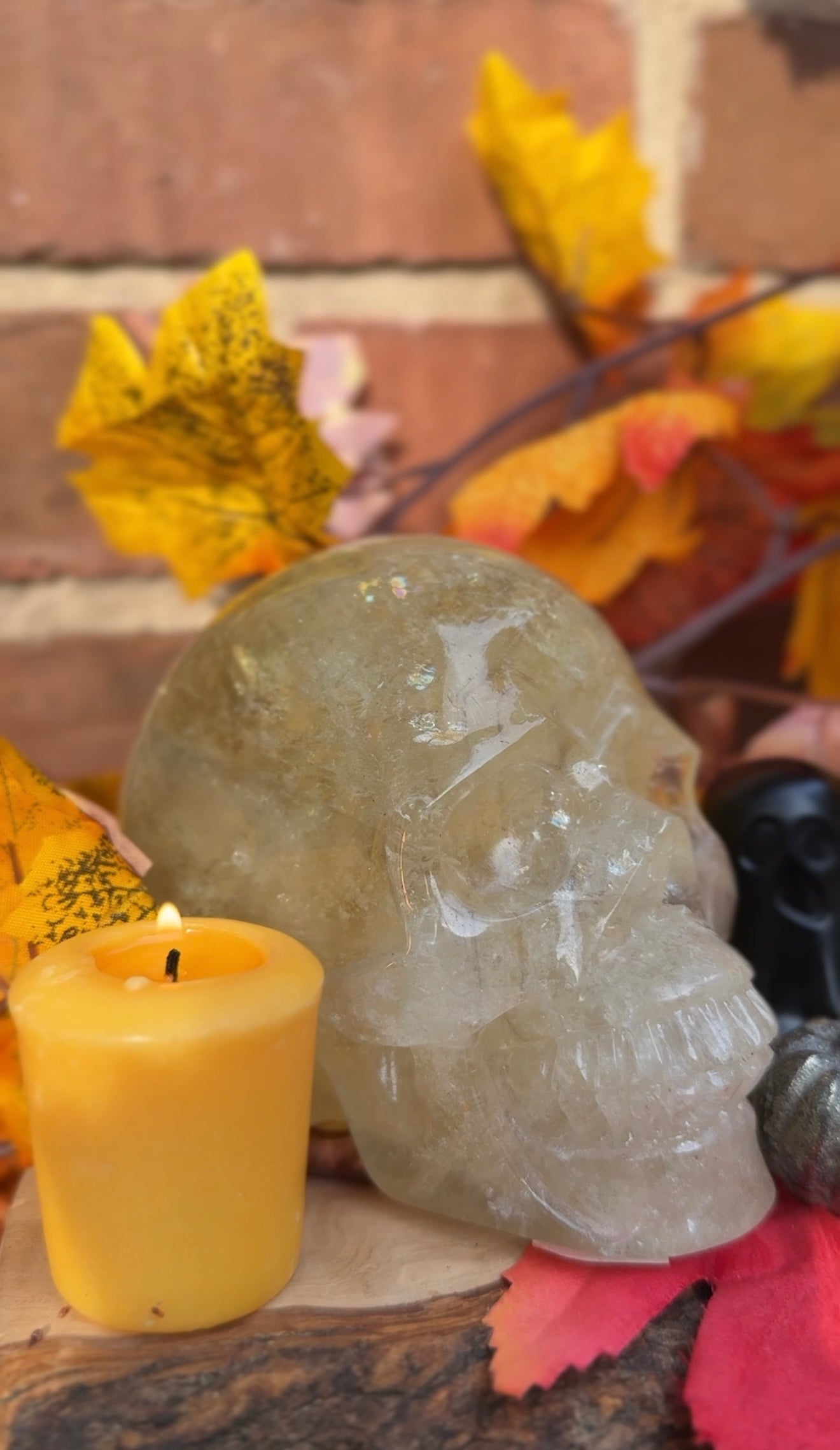 Natural Citrine Crystal Skull – 1.55kg Collector’s Piece