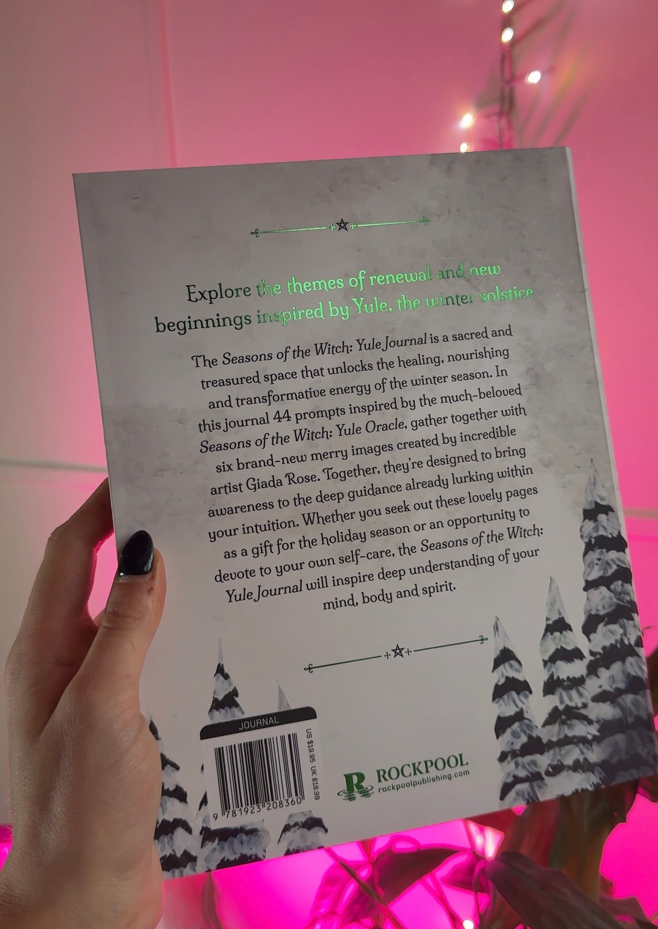 Seasons Of The Witch Yule Journal - Lorriane Anderson