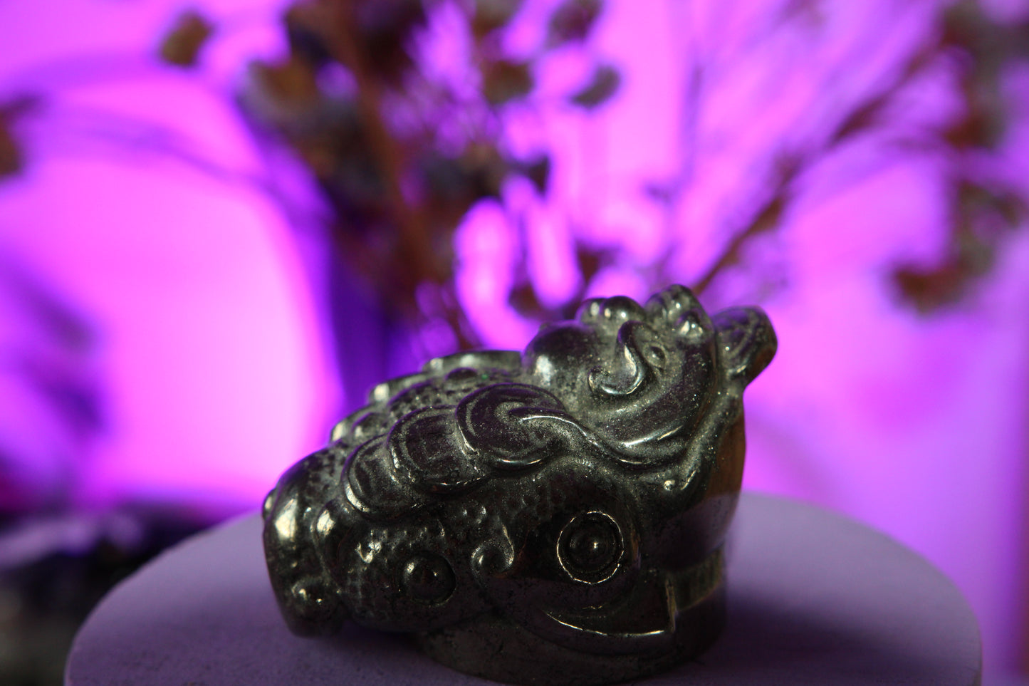 Pyrite Money Frogs