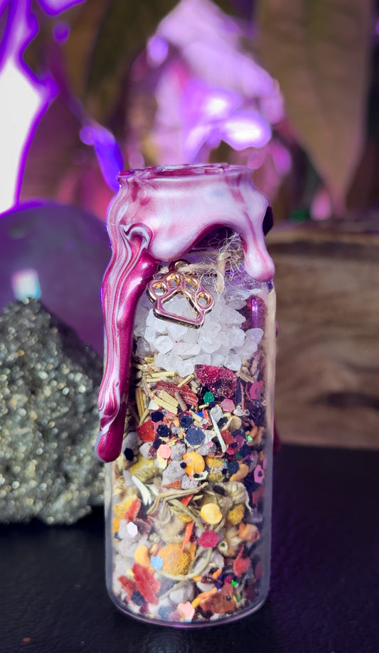 Pet Protection Spell Jar – Guard & Bless Your Beloved Companion