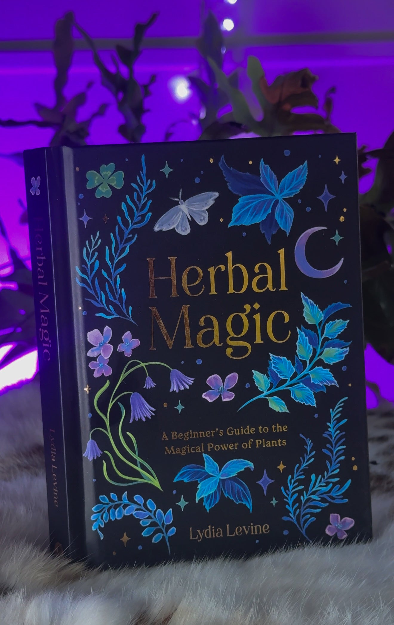 Herbal Magic By Lydia Levine