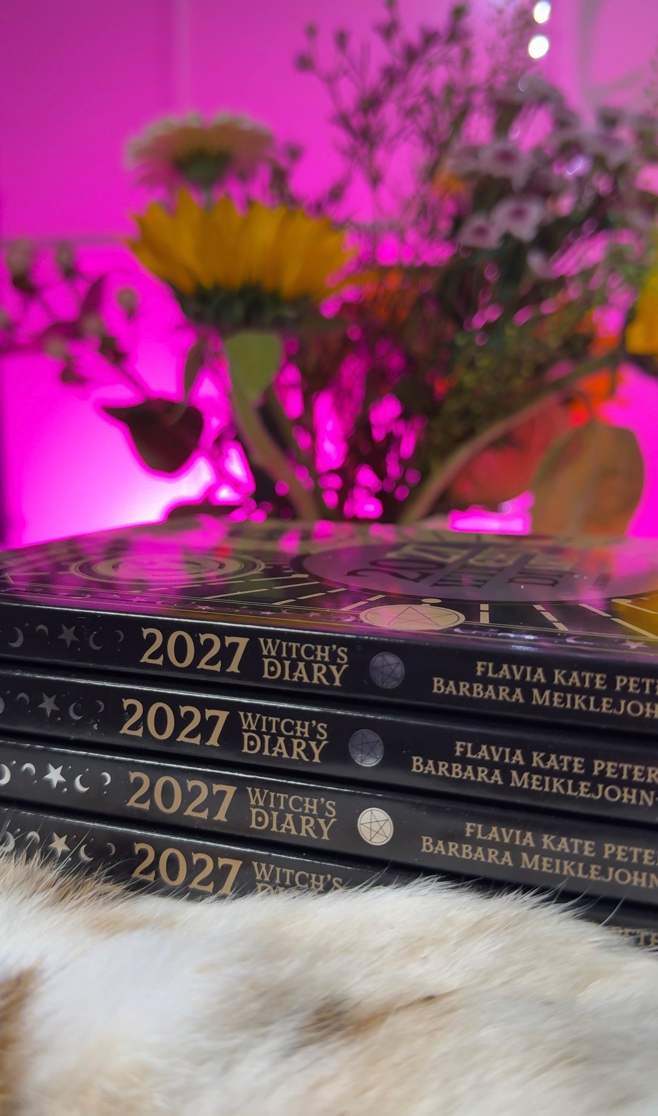 2027 Witch's Diary (Northern Hemisphere) - Flavia Kate Peters