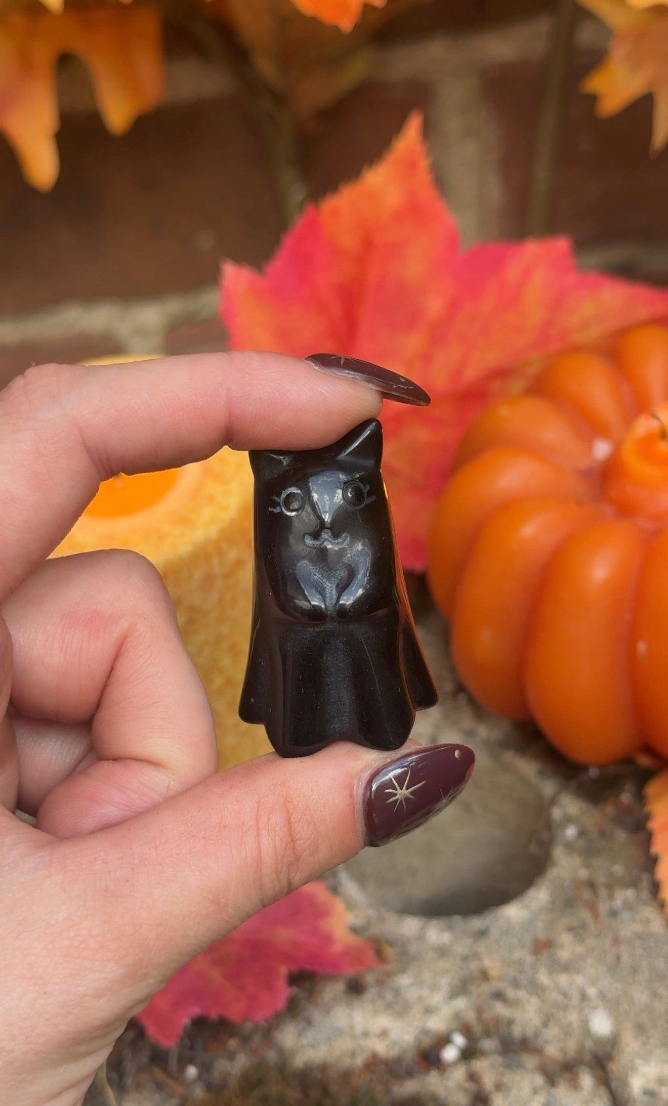 Obsidian Witches Cat