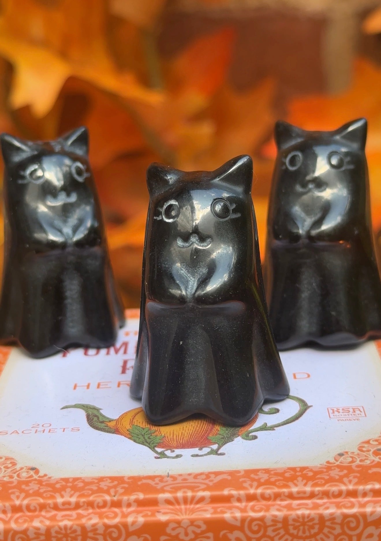 Obsidian Witches Cat