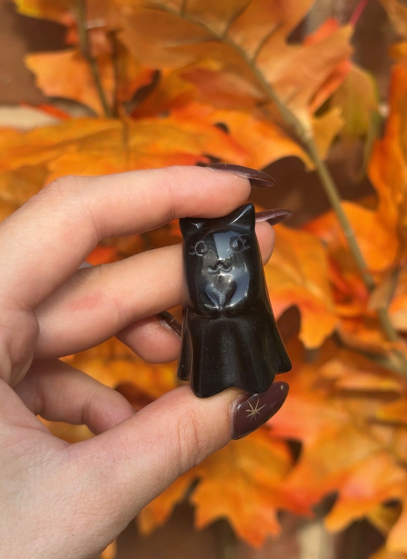 Obsidian Witches Cat