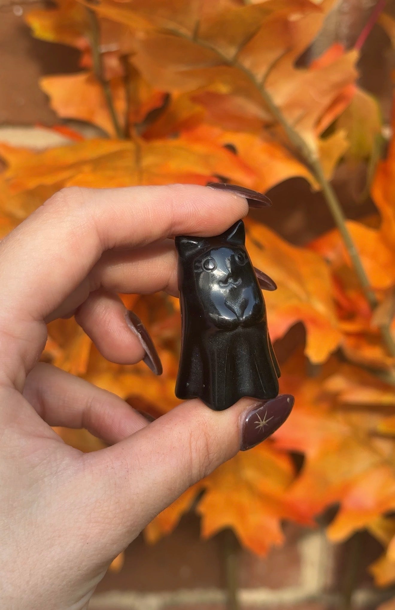 Obsidian Witches Cat