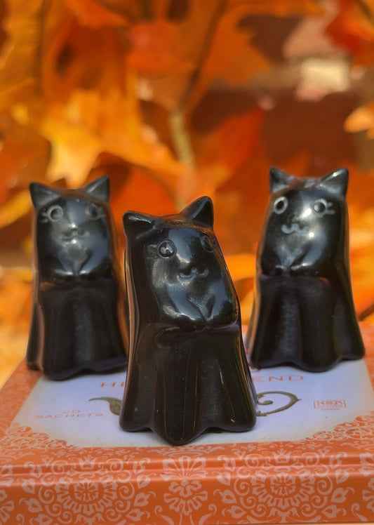 Obsidian Witches Cat