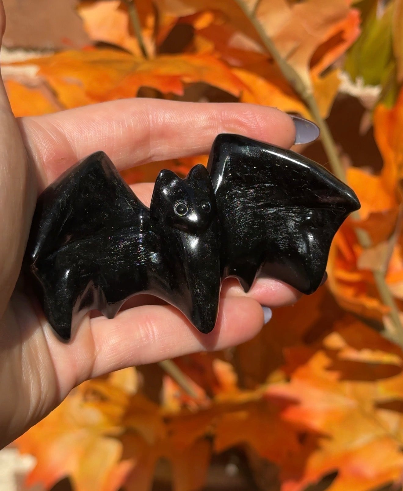 Obsidian bat