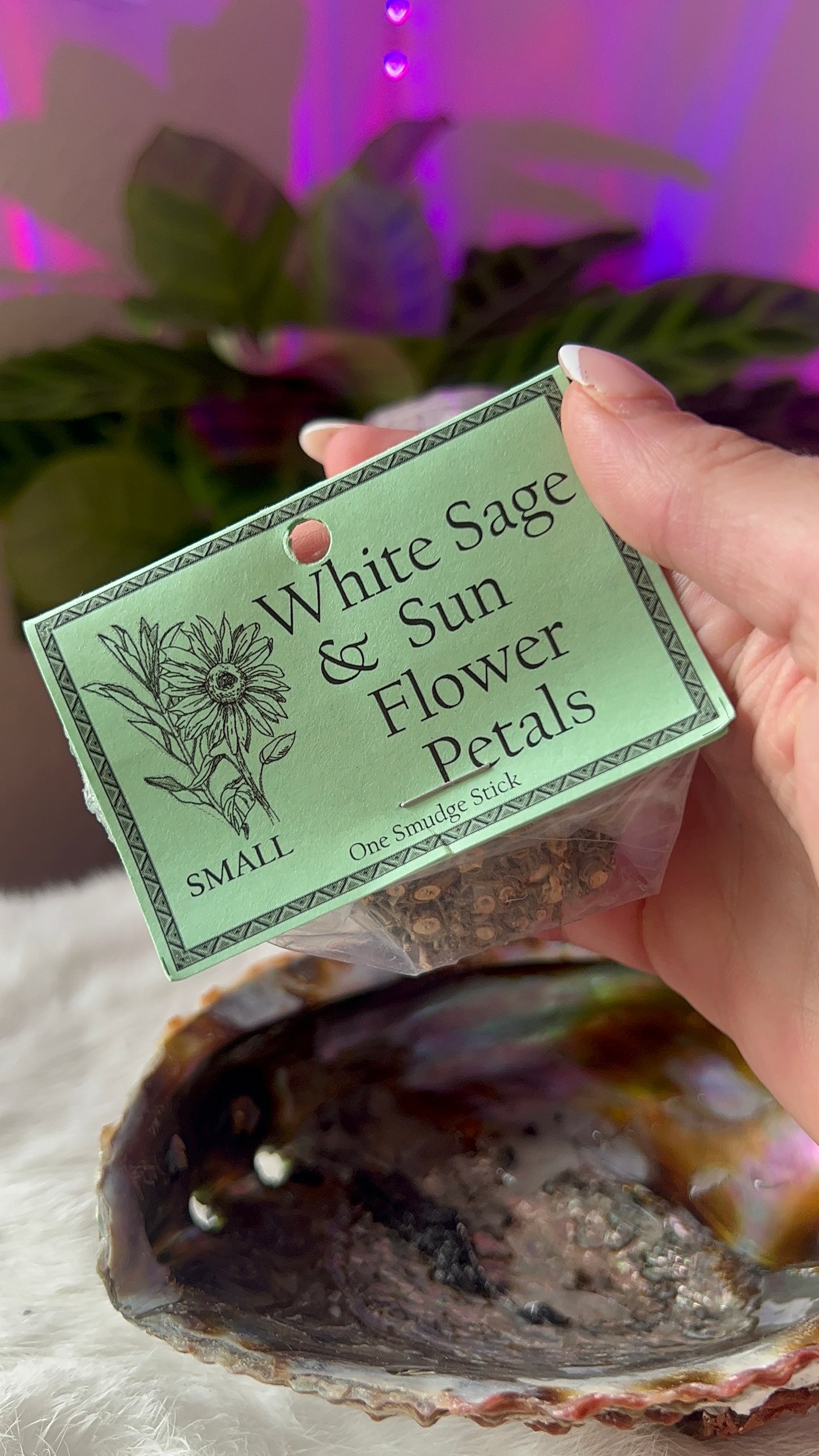 White sage and sunflower bundle